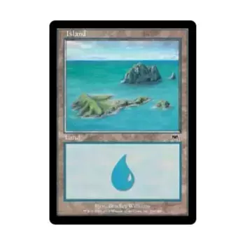 CCG Остров №336 (С), MTG - Onslaught