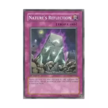 CCG Отражение природы (Общее), Yu-Gi-Oh - Absolute Powerforce - Singles