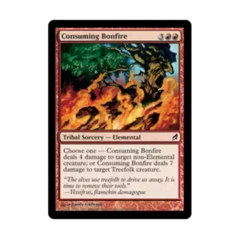 CCG Поглощающий костер (С), MTG - Lorwyn