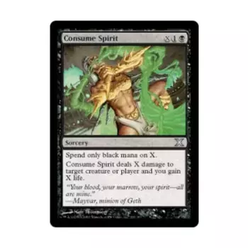 CCG Поглотить дух (U), MTG - 10th Edition