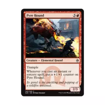 CCG Погребальная гончая (C) (фольга), MTG - Masters 25