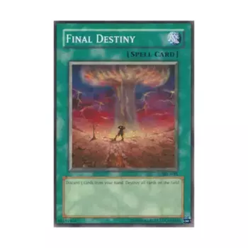 CCG Последняя судьба (Обычный), Yu-Gi-Oh - Spell Ruler - Singles