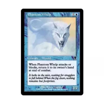 CCG Призрачный дракончик (клавиша C), MTG - Odyssey