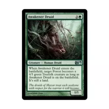 CCG Пробуждающий Друид (U), MTG - Magic 2010