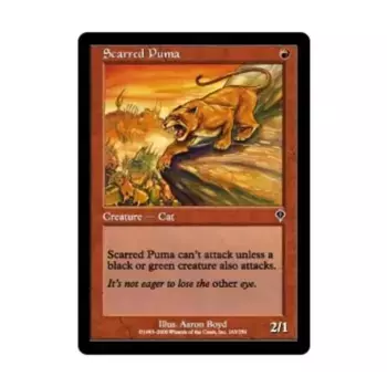 CCG Пума со шрамами (клавиша C), MTG - Invasion