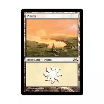 CCG Равнины # 29 (С), MTG - Duel Decks - Divine vs. Demonic