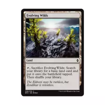 CCG Развивающиеся дикие животные (клавиша C), MTG - Battle for Zendikar