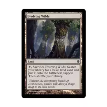 CCG Развивающиеся дикие животные (клавиша C), MTG - Commander 2013