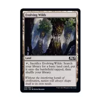 CCG Развивающиеся дикие животные (клавиша C), MTG - Core Set 2020