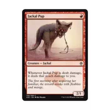CCG Щенок шакала (C) (Фольга), MTG - Masters 25