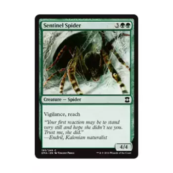 CCG Страж-паук (С), MTG - Eternal Masters