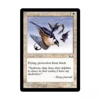 CCG Сумеречный Сокол (клавиша C), MTG - Weatherlight