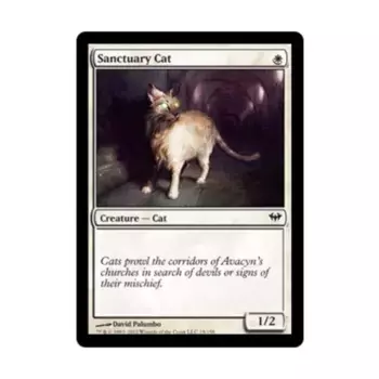 CCG Святилищный кот (C) (Фольга), MTG - Dark Ascension