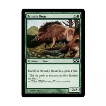 CCG Тигровый кабан (C) (фольга), MTG - Magic 2012