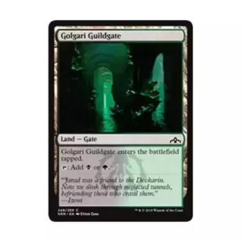 CCG Ворота Гильдии Голгари (249) (С), MTG - Guilds of Ravnica