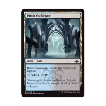 CCG Врата Гильдии Димира (245) (С), MTG - Guilds of Ravnica