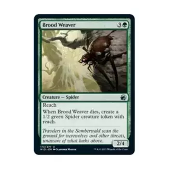 CCG Выводок Ткача (U), MTG - Innistrad - Midnight Hunt