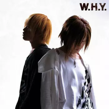CD диск Amuten: W.H.Y.