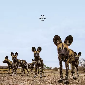 CD диск Balthazar: Fever