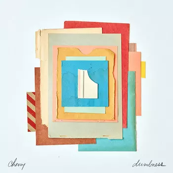 CD диск Cherry: Dumbness