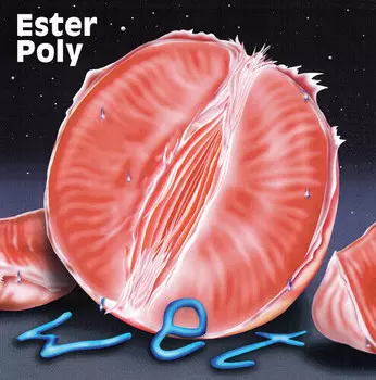 CD диск Ester Poly: Wet