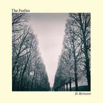 CD диск Feelies: In Between