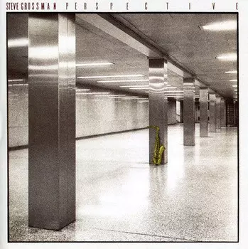 CD диск Grossman, Steve: Perspective