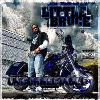 CD диск Little Bruce: Uncorrectable