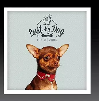 CD диск Lost My Dog 10X10: 2005 / Var: Lost My Dog 10 x 10 - 2005