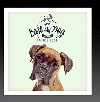 CD диск Lost My Dog 10X10: 2008 / Var: Lost My Dog 10x10 - 2008