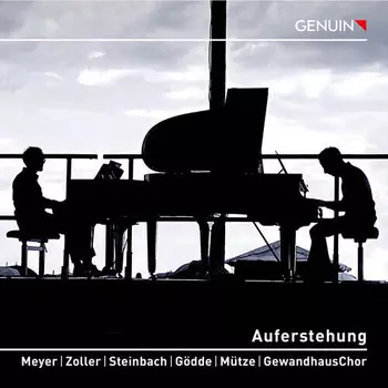 CD диск Mahler / Meyer / Zoller: Auferstehung