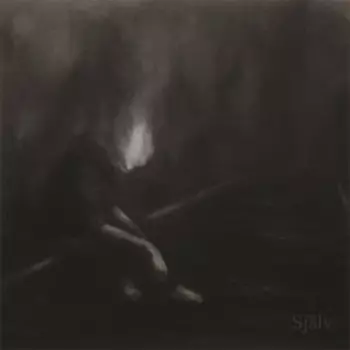 CD диск Omheten: Sjalv