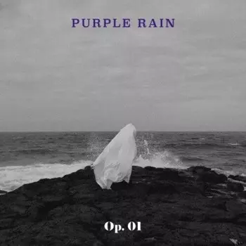 CD диск Purple Rain: Op. 01 (incl. Booklet)