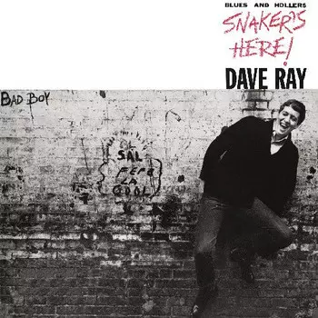 CD диск Ray, Dave: Snaker's Here
