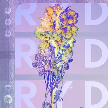 CD диск RYD: Ryd