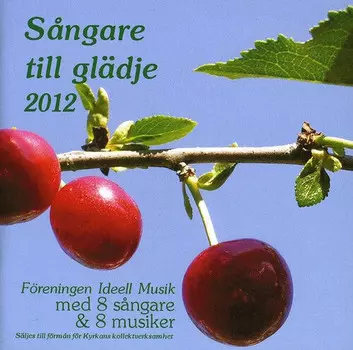 CD диск Sangare Till Gladje 2013 / Various: Sangare Till Gladje 2013 / Various