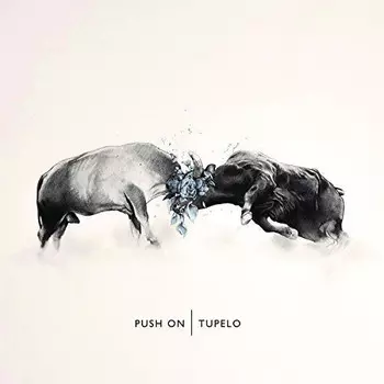 CD диск Tupelo: Push on
