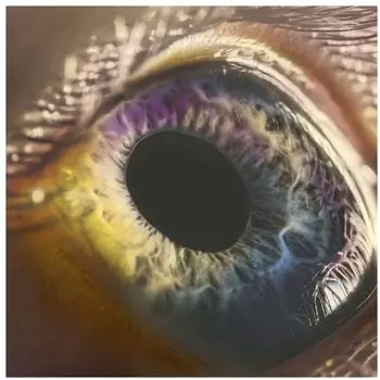 CD диск We | Arcade Fire