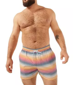 Чаббис Малибу Сансет 4 Классические плавки с внутренним швом Chubbies, розовый