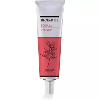 Чай со сливками 50мл Bioearth