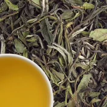 Чайный дом Авраама 1кг Пай Му Тан Superior White - Чай белый/зеленый Tea Goetz