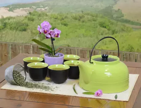 Чайный сервиз Tea & home e.U., зеленый