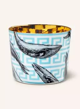 Чашка для шампанского, объём: 250 мл. Frstenberg, белый