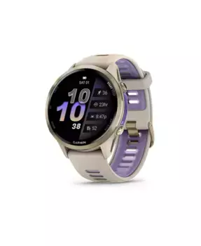 Часы - Forerunner 970 Garmin, серый