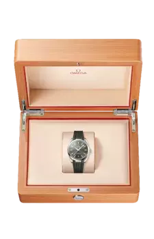Часы Omega Seamaster aqua terra 150m 38 мм