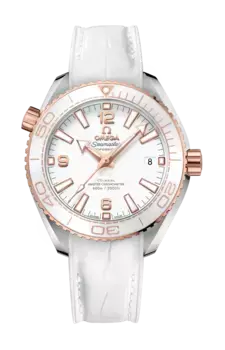 Часы planet ocean 600m co axial master chronometer 39 Omega
