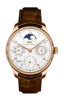 Часы portugieser perpetual calendar Iwc Schaffhausen