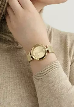 Часы QUARTZ ANALOG DARBEY Ted Baker, золотой