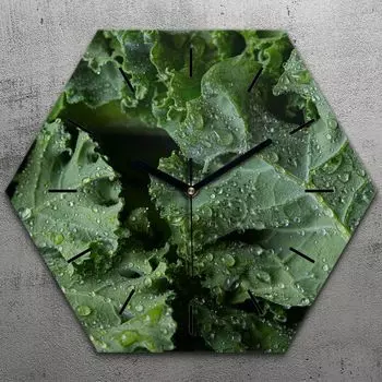 Часы шестиугольные 40 см стекло бесшумные черные стрелки - листья салата TastyPrints, зеленый