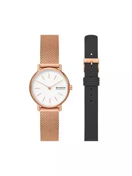 Часы SKW1153SET Skagen, золотой